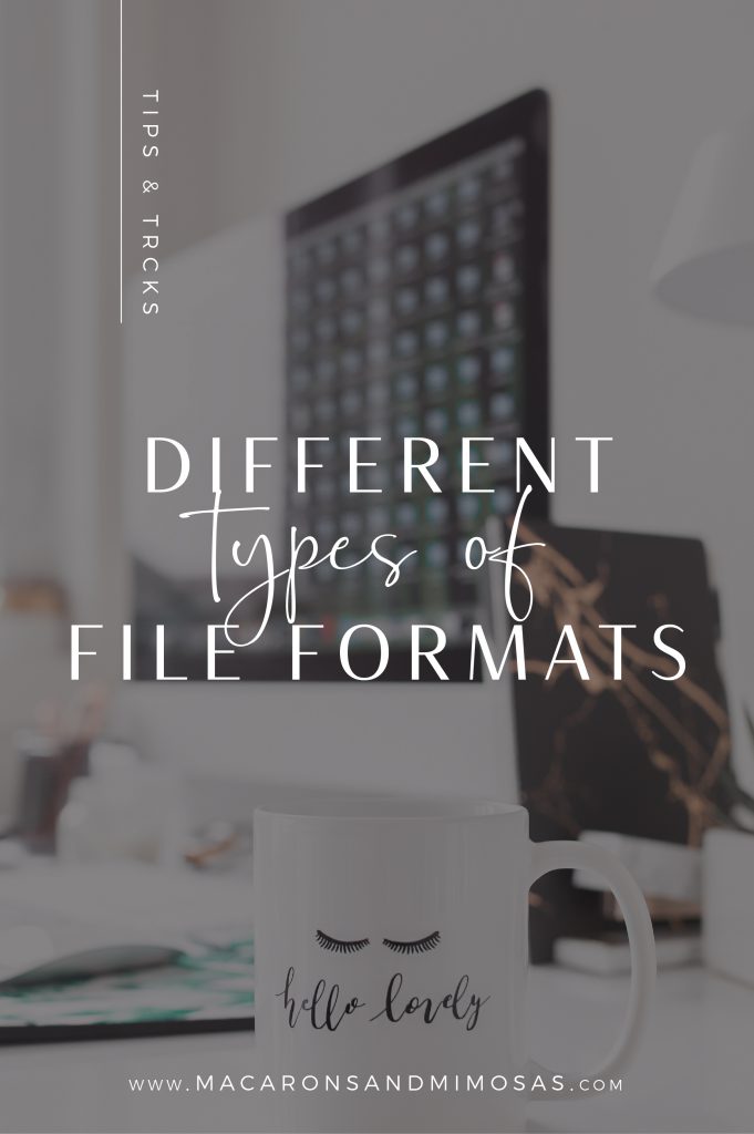 File formats, What is a bitmap and raster image. What is an PDF file and how can you open an EPS file format.