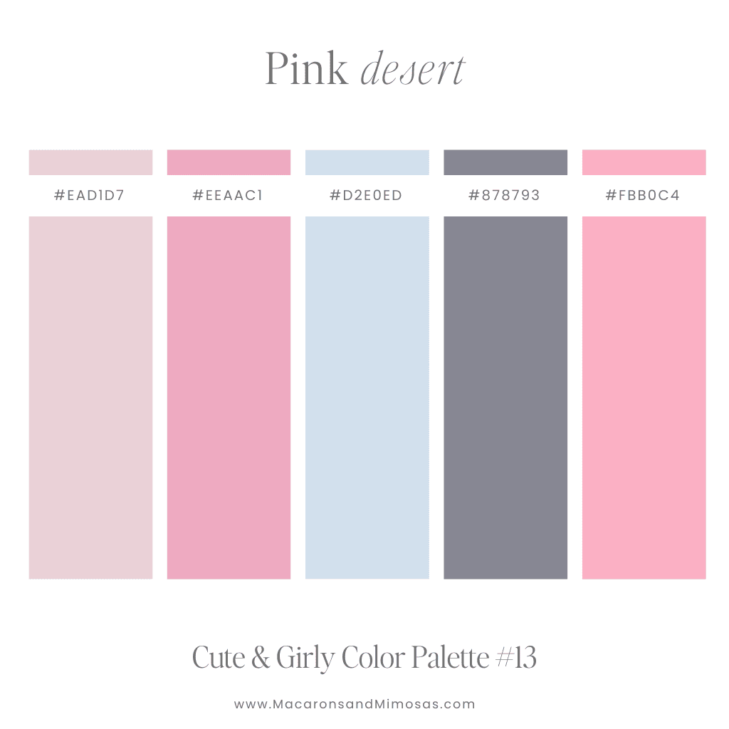 Girly Pink Desert Color Palette chic pink, blue and grey