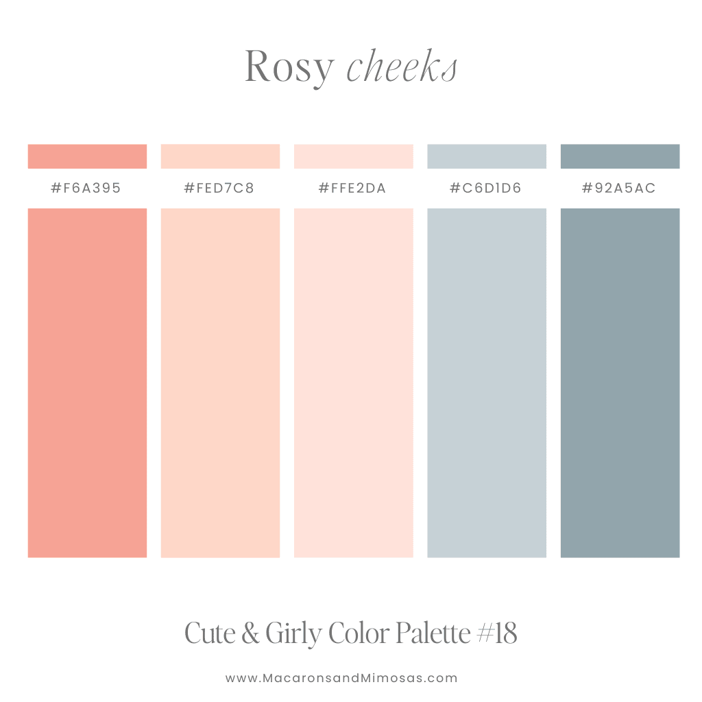 Cute and girly color palette with hex code in pink and bue