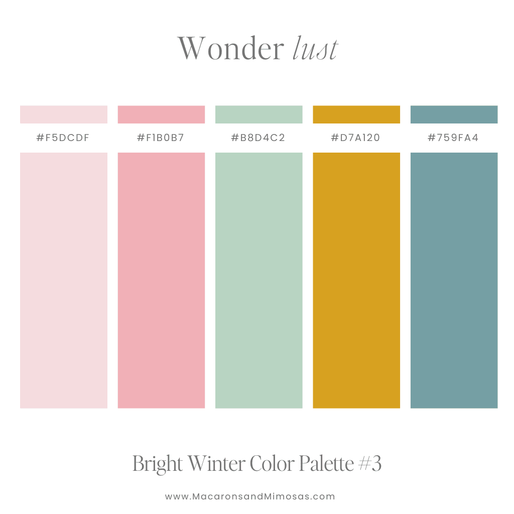 Winter Palette for Branding