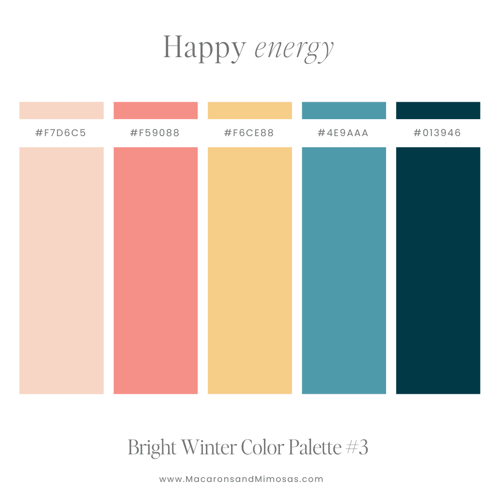 Winter Website palette