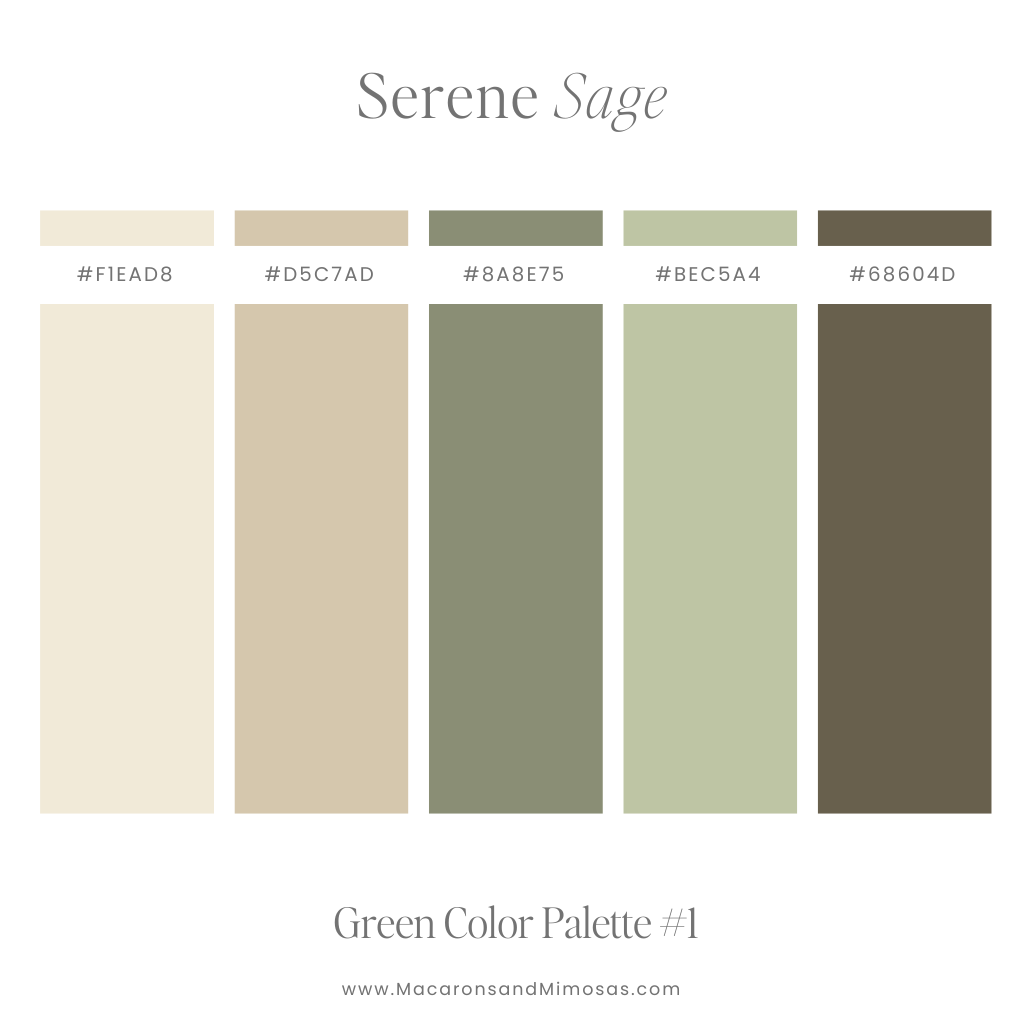 Green, Creme and Brown Color Palette 