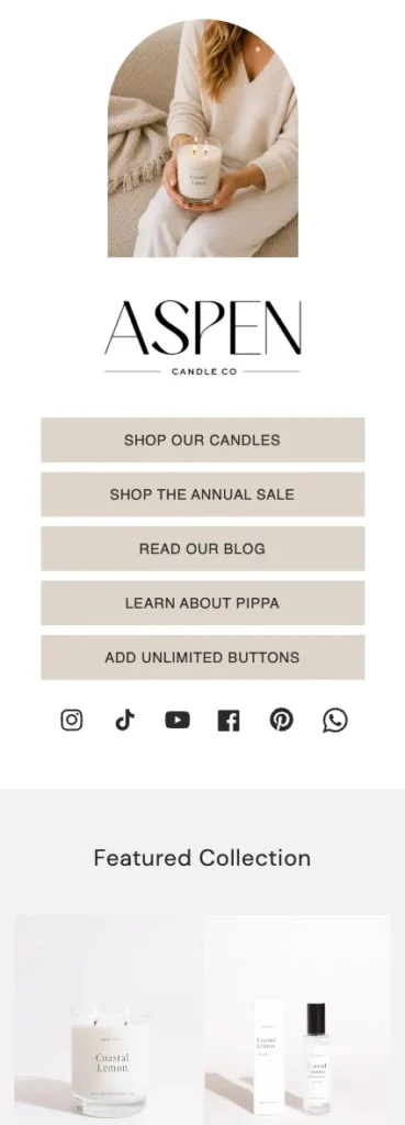 Free Bonus Built-In Links Landing Page for Shopify theme