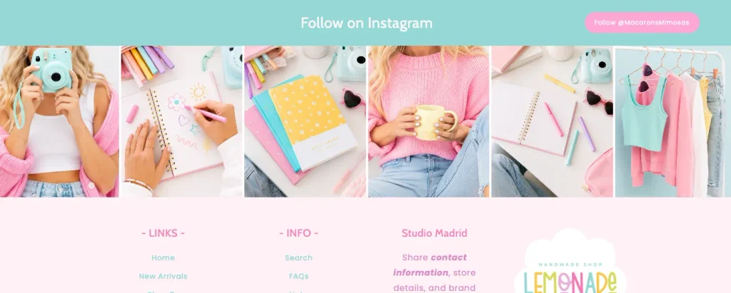 Shopify Section for Custom Instagram Social Media Banner